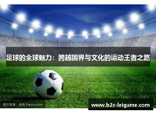 足球的全球魅力：跨越国界与文化的运动王者之路