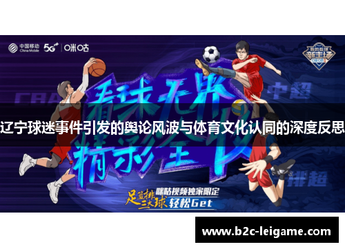 辽宁球迷事件引发的舆论风波与体育文化认同的深度反思