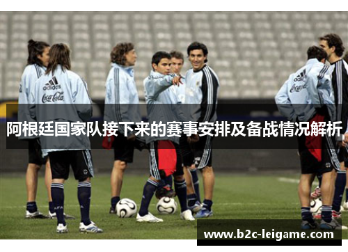 阿根廷国家队接下来的赛事安排及备战情况解析