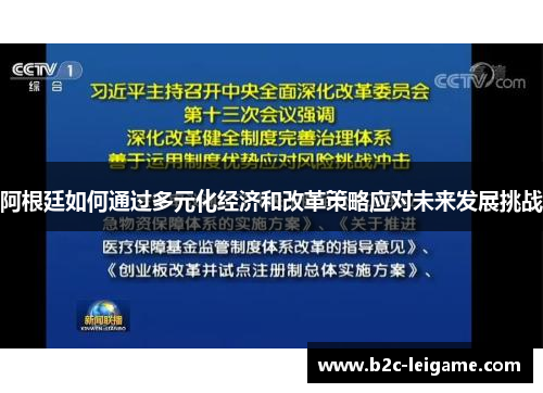 阿根廷如何通过多元化经济和改革策略应对未来发展挑战