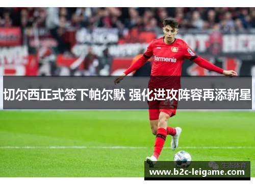 切尔西正式签下帕尔默 强化进攻阵容再添新星